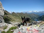 Salita al Monte Masoni il 25 luglio 08 - Percorso fotografico in FOTOGALLERY